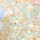 Mermaid Shell Shape Glitter HoloGraphic