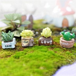 Love Mini Succulent