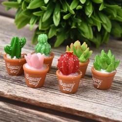 Micro Resin Succulent Plants Bonsai