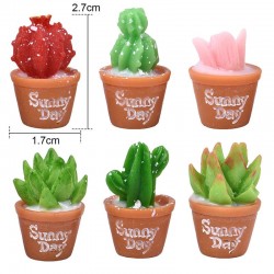 Micro Resin Succulent Plants Bonsai