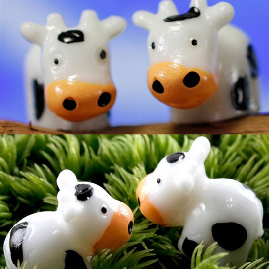 Mini cow 