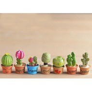 7pcs/Set Cactus Succulent 