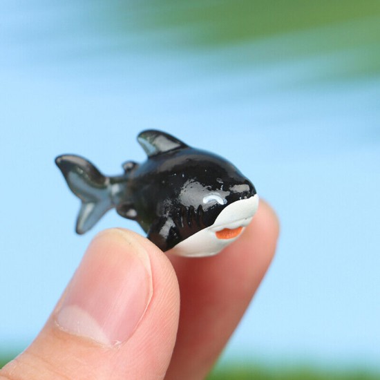 Mini Shark