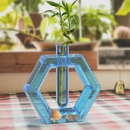 Hexagon Test Tube Vase Mold