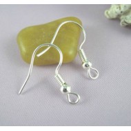 Silver Earhook