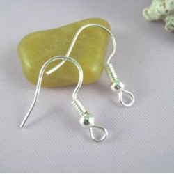 Silver Earhook