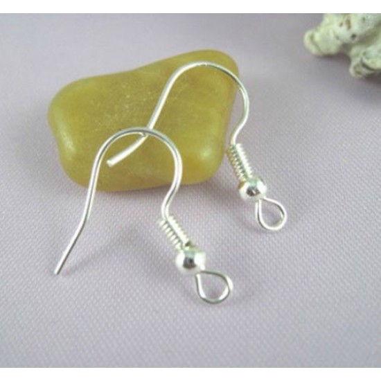 Silver Earhook